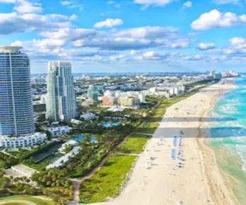 Best of Miami: Small Group Tour with Port Pickup + Airport DropOff